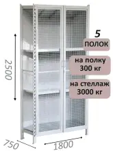 Стеллаж-шкаф СТ-600 с сетчатыми дверьми и сетчатой стенкой 2500х1900х750, 5 полок